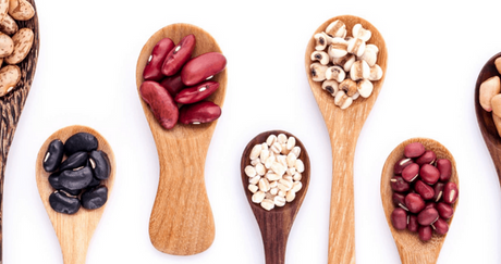 Les aliments riches en fer